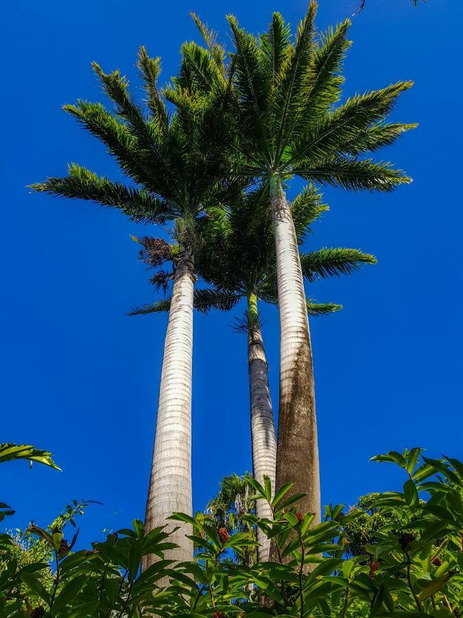Blue Paradise Ле-Гозье Экстерьер фото